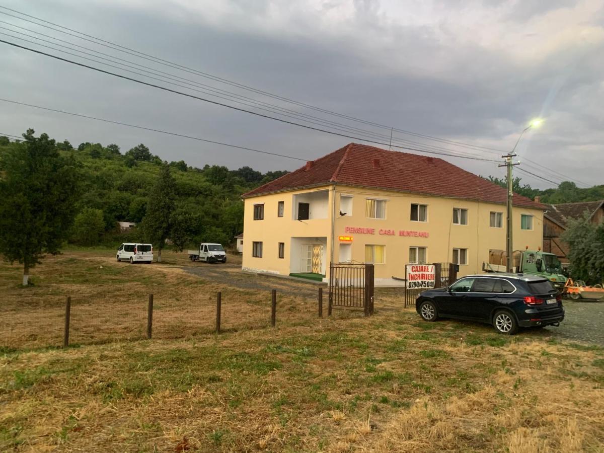 Pensiune Casa Munteanu Baratca Exterior foto